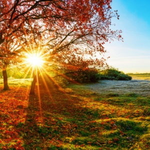 Top Environmental Jobs of 2023