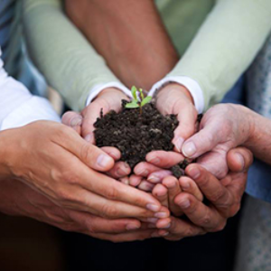 Creating a Sustainable Workplace: Environmental Initiatives for Companies