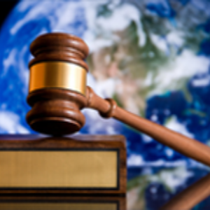 Navigating Environmental Policy: Careers in Advocacy and Regulation