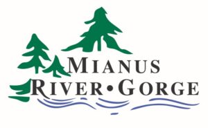 Executive Director