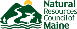 Executive Director