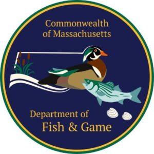 Director, Division of Fisheries and Wildlife