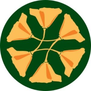 Director of Engagement