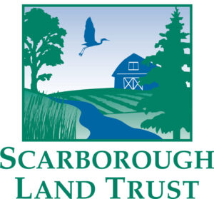 Education and Marsh Intern