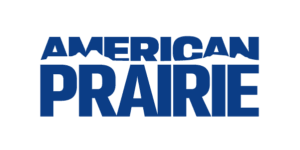 Volunteer Manager