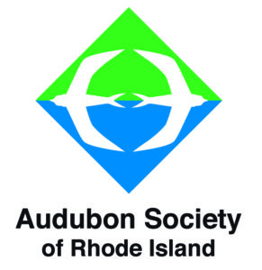Director of Advocacy
