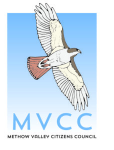 Executive Director