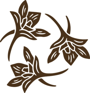 Director of Development and Partnerships