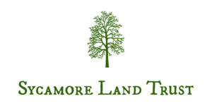 Development Director