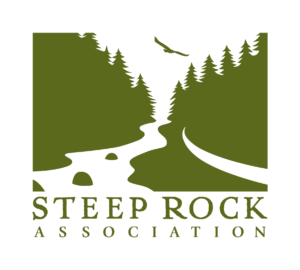 Director of Development