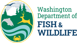 Fishery Sampler - Scientific Technician 2 - Non-Permanent - 4 Openings