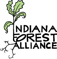 Indiana Forest Alliance logo featuring a green sprout with roots next to the organization name.